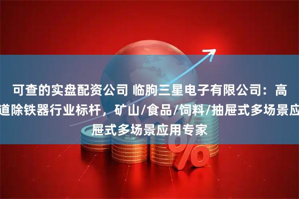 可查的实盘配资公司 临朐三星电子有限公司：高精度管道除铁器行业标杆，矿山/食品/饲料/抽屉式多场景应用专家